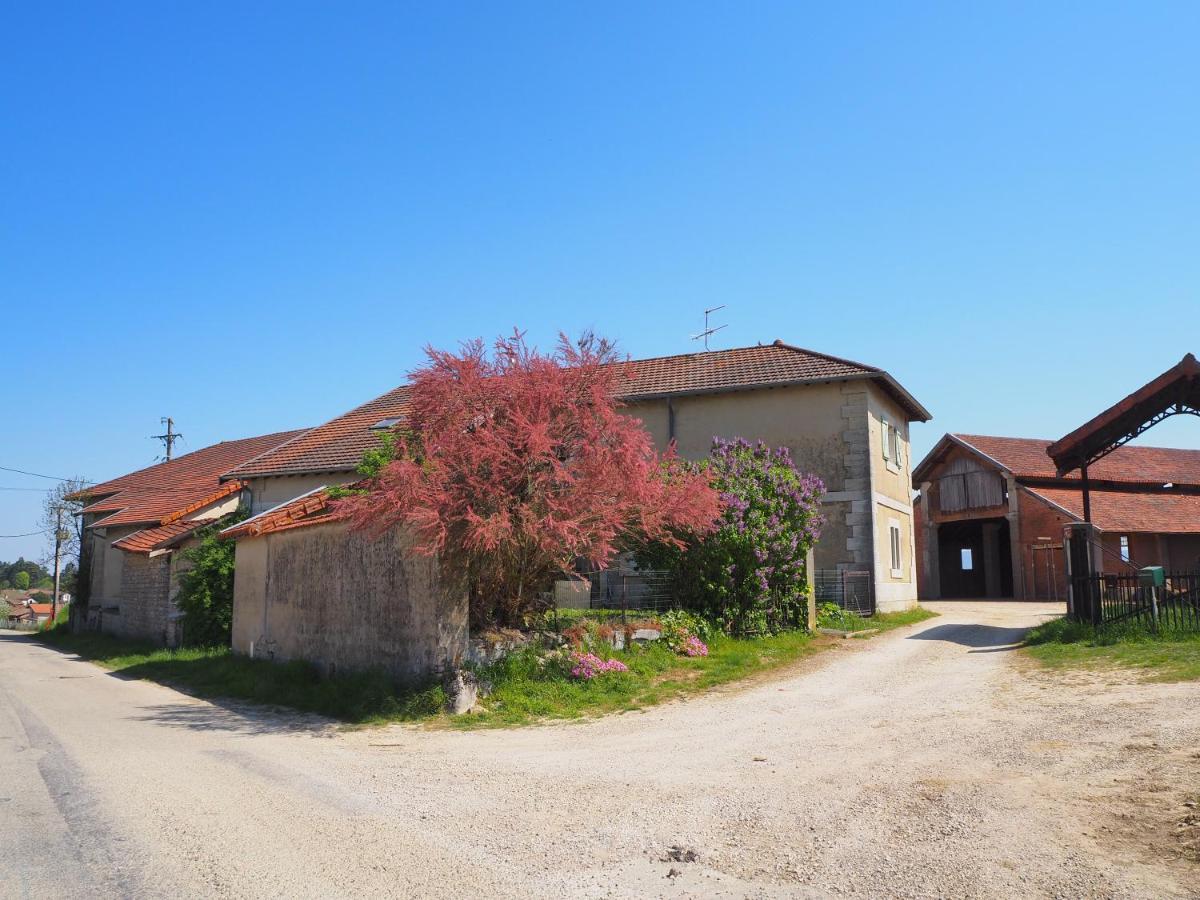 Le Gite Du Haut Chatillon-la-Palud Exterior photo